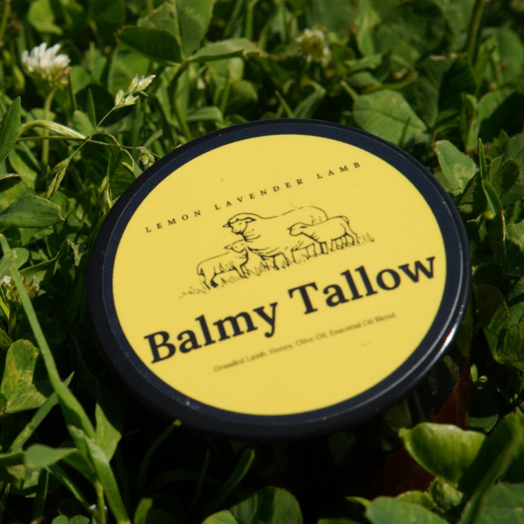 Lemon Lavender Tallow Balm (2 oz)