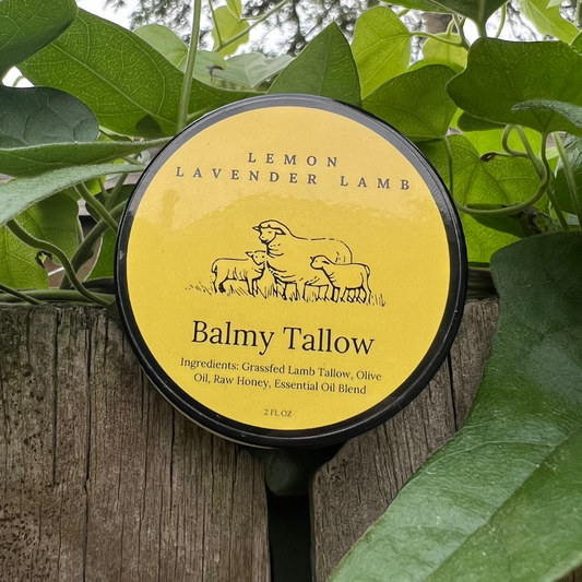 Lemon Lavender Tallow Balm (4 oz)