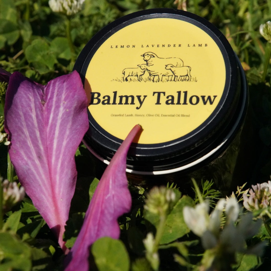 Lemon Lavender Tallow Balm (4 oz)